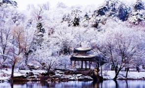 【冬季坝上·水墨雪原】承德避暑山庄·木兰围场塞罕坝雪海·内蒙古乌兰布统雪